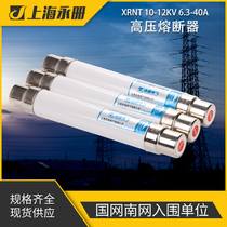 XRNT10 12kv high voltage high segment capability current limiting fuse Glass tube fuse fuse core 10A20 amp