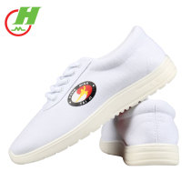 Cotton Tree tai ji xie tpr canvas shoes autumn martial arts lian gong xie male Taijiquan gong fu xie training shoes