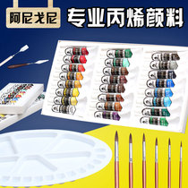 Acrylic pigment set small boxed hand painting wall painting 12 colors 24 color graffiti beginner art students dedicated 12ml