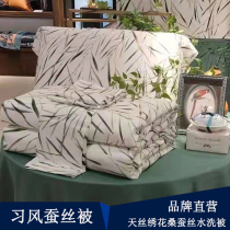Sleep MINE official net 2021 Lotte Tiansilk Embroidery Washed Pure Mulberry Silk Summer Cool Quilt 00053 Xi Wind