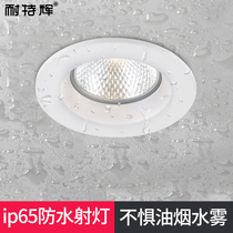Hotel waterproof spotlight led ceiling light recessed cob downlight kitchen bathroom shower outdoor waterproof light
