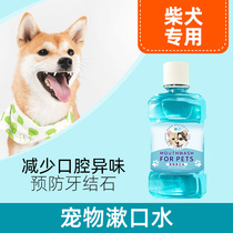 Shiba Inu dog special oral cleaning teeth antibacterial mouthwash in addition to bad breath calculus brushing cleaning supplies edible