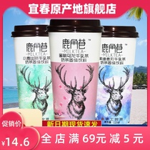 Lujiao Lane Milk Tea Milk Tea 6 cups Hong Kong-style explosive Net red hand-cranked cup black sugar deer pill milk tea powder drinking
