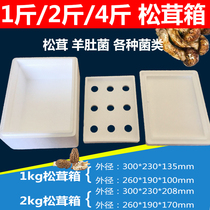 2 Jin 3 Jin 4 Jin matsutake box packaging foam box fresh-keeping box Express foam box for Cherry box special box