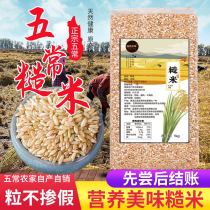 Wuchang brown rice 2021 new rice Xinyuan Xiang flavor 2 grains coarse grain rice xuan 10kg vacuum