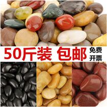 Nanjing Yuhua Stone Natural Pebble Paving Road Colorful Stone Garden Landscape Landscape Fish Tank Decorative Flower Pot Stone Courtyard