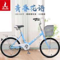 Phoenix Bicycle 20 22-inch city car light commuter mens and women student retro Lady car adult bicycle