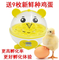 Incubator Small household mini automatic intelligent home-based childrens teaching bird egg chicken egg hatching machine