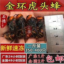 One catty of 350-400 fresh frozen Golden Ring Hu tiger head bee wasp bubble wasp wine pupae