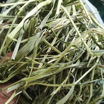 (Sun 1 baked 2)3 Jin 37 yuan 2021 Timothy Hay rabbit chincho pig pet grass