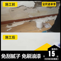 Interior Wall waterproof anti-mildew coating indoor wall waterproof glue water seepage treatment Wall Wall water leakage sealing agent