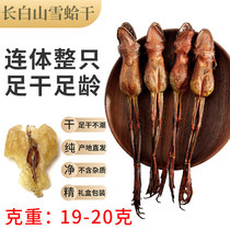 Northeast Changbai Mountain snow clam oil Snow Clam cream Forest frog toad oil Snow clam dry goods(19-20 grams)