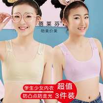 Girls bra junior high school students 12-13-14-15-16 age period without rims vest cotton underwear