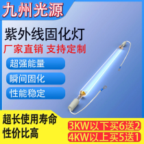 UV curing lamp UV curing lamp Shadowless glue ink printing curing lamp High power mercury high pressure mercury lamp