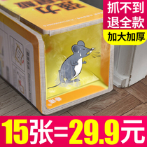 Rat catching rodent control artifact household indoor mouse Kexing a nest of strong catch and catch large sticky mouse board stickers