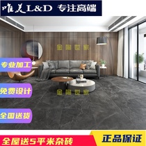 Beautiful LD tile floor tiles Meersburg Saxony LSH12800S 12790P 12802S 12797P