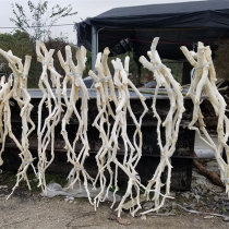 Dry branches Branch decoration Dry branches Art dead branches dead wood trunk natural peeled natural branches Wall hangers