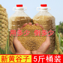 New yellow millet with Shell millet 5kg bird food bird food parrot feed tiger skin peony Xuanfeng Wen bird small and medium bird