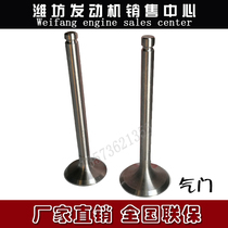 Weifang Weichai Huafeng diesel engine East China engine 4100 4102 4105 4108 6105 intake and exhaust valves