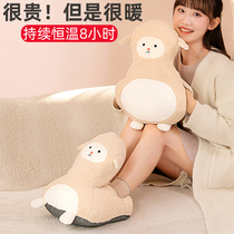 Hot water bag charging electric heater explosion-proof water bag hand warmer feet artifact bed plush cute female warm baby