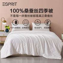 ESPRIT home spun silk quilt with double single season GM thickened warm new silk quilt 100 mulberry silk