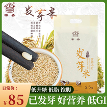 Zhaoxiang germinated brown rice small town germination rice coarse grain grain rice 5kg fitness satiety low germ Rice