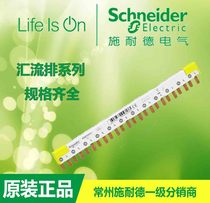  Schneider A9XPC612 Bus 12x18mm Replacement 21501 for 1P N(18mm)