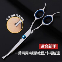 Novice safety pet grooming scissors dog hair tools set professional shearing artifact
