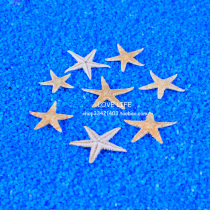 Natural small starfish decoration yellow mini flat starfish specimen micro landscape diy creative Mediterranean home wedding