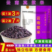 3 pounds of Yunnan purple rice black rice Mojiang purple rice blood glutinous rice Five grains whole grains whole grains Brown rice to make purple glutinous rice dew