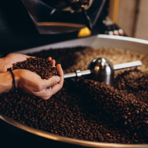 (Cooked beans) Alaiman Indonesia Mantin coffee cooked beans order baked