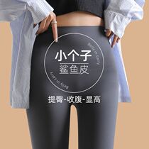 Shark Skin Beating Bottom Pants Woman Spring High Waist Plus Suede Outside Wearing Close-up Butt Elastic Tight Body 90% Yoga Bali Pants