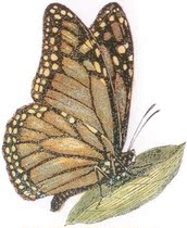 LaBlanche silicone stamp * seal LB1260