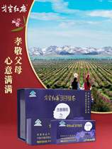 Xinjiang Altay Gobao Luobu Hemp Tea Health Tea 4G * 60 bags of Origin straight hair quality assurance