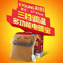 Caiyang warm foot treasure Electric pillow warm waist warm hand pillow Electric pad Plush warm hand treasure electric warm shoes students
