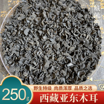 Tibetan specialty Yadongye pearl black fungus bowl ear cloud ear Pearl Black autumn fungus 250g wild super authentic