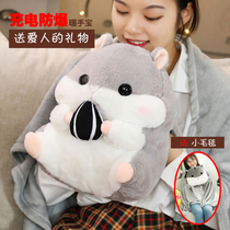 Handsome treasure rechargeable explosion-proof plush cute cartoon hot water bag girls apply belly warm baby warm Palace Electric warm treasure
