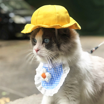 Cat hat summer cool photo decoration pet yellow hat cute fashion dog sunscreen hat accessories