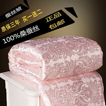 Silk quilt 100 mulberry silk outlet Xia cool by air conditioning Spring and autumn quilt childrens winter quilt by children