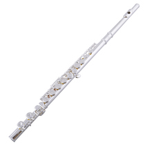 MEDVAC MFL-206C for Flute Instrument Beginner Exam Performance