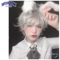 (Pipi family) Daming young gay wig Lolita Prince Silver gray retro Hanfu brain hole dk national style