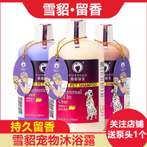 Snow mink dog shower gel deodorant deodorant anti-itching pet shampoo than bear Teddy golden hair Special Bath