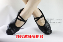Pure Leather Teacher Cat Paw Shoes Professional Small Heel Dance Shoes Folk Dance Shoes Skills Shoes Teacher Shoes Dance Shoes Body Shoes