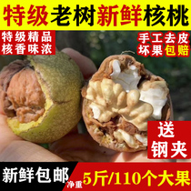 Old tree fresh walnuts 5kg Sichuan to green skin wild pregnant women special thin skin raw wet tender spades pecans