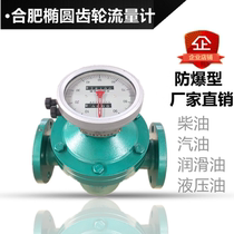 Hefei Elliptical Gear Flow Meter Oil Table Diesel Table Petrol Table 1 Inch 2 inch DN25 DN40