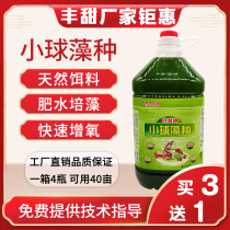 Chlorella algae species fish shrimp crab pond aquaculture special fertilizer hydroponic algae Oocystis concentrated low-temperature compound algae species