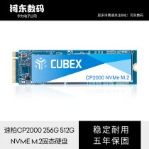 CUBEX 256GB 512G Solid State Drive M 2 NVMe Protocol CP2000 Series