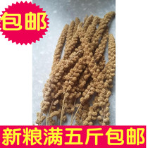 Yellow Valley ear ear ear spike parrot hamster snack 8 88 yuan kg optional 5kg