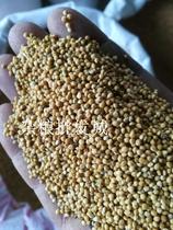 Millet with shell millet millet valley tiger skin peony small and medium parrot bird food bird food Bird feed 5 kg