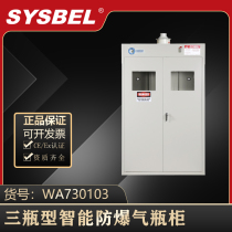 SYSBEL Sisbel All Steel Three Bottle Fixed Bracket Intelligent Explosion-proof Gas Bottle Cabinet Safety Cabinet WA730103